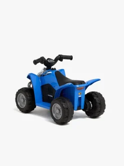 Alex's Garage Honda Elbil ATV, Blå