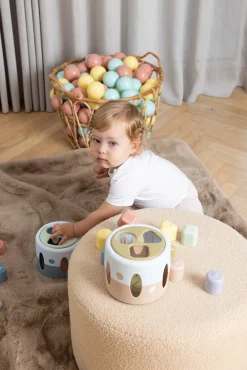 Dantoy Fairytales Sorteringskasse