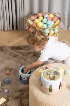 Dantoy Fairytales Sorteringskasse