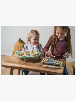 Dantoy Musiksæt Wooden In Gift Box