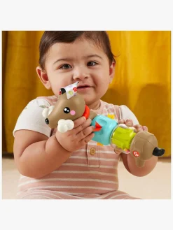 Fisher-Price Click & Spin Aktivitetslegetøj