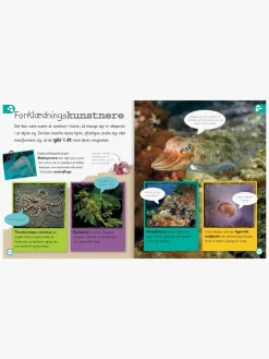 Havet - Leksikon for de yngste