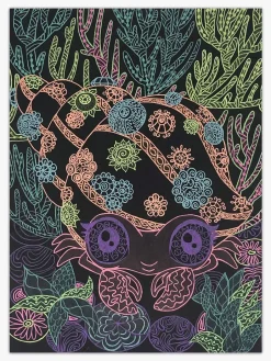 Nebulous Stars Malebog Coralia