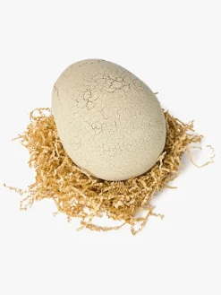 Spin Master Primal Hatch Legetøj Hatching Dinosaur